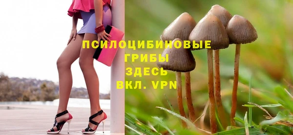 метадон Алексин