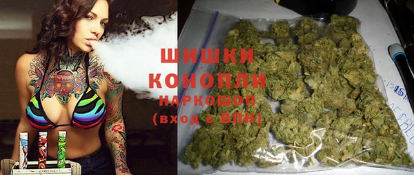 прущие грибы Алзамай