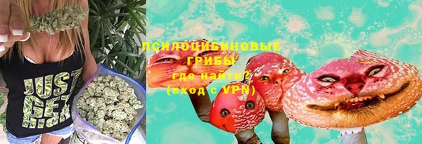прущие грибы Алзамай