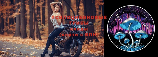 метадон Алексин