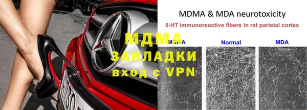 прущие грибы Алзамай