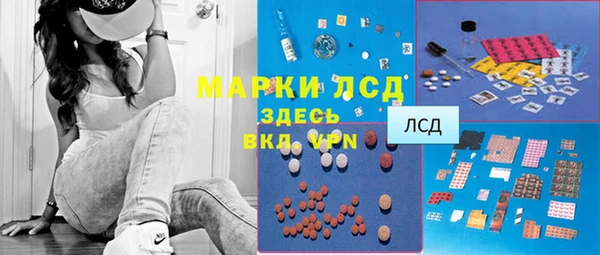 прущие грибы Алзамай
