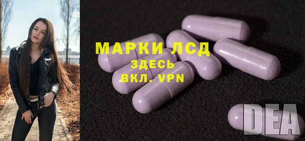 прущие грибы Алзамай