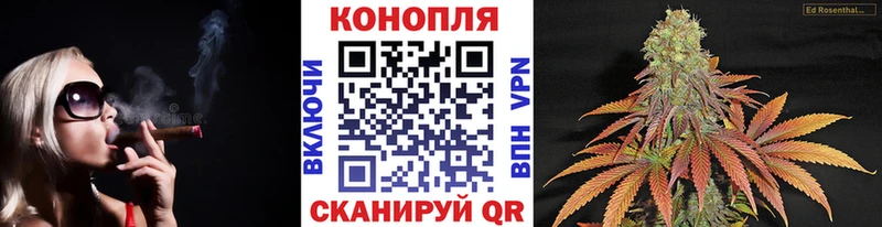 Бошки марихуана VHQ  где купить наркотик  Петушки 
